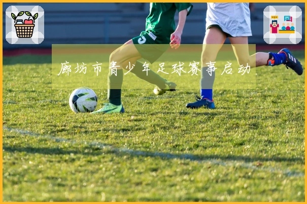 廊坊市青少年足球赛事启动